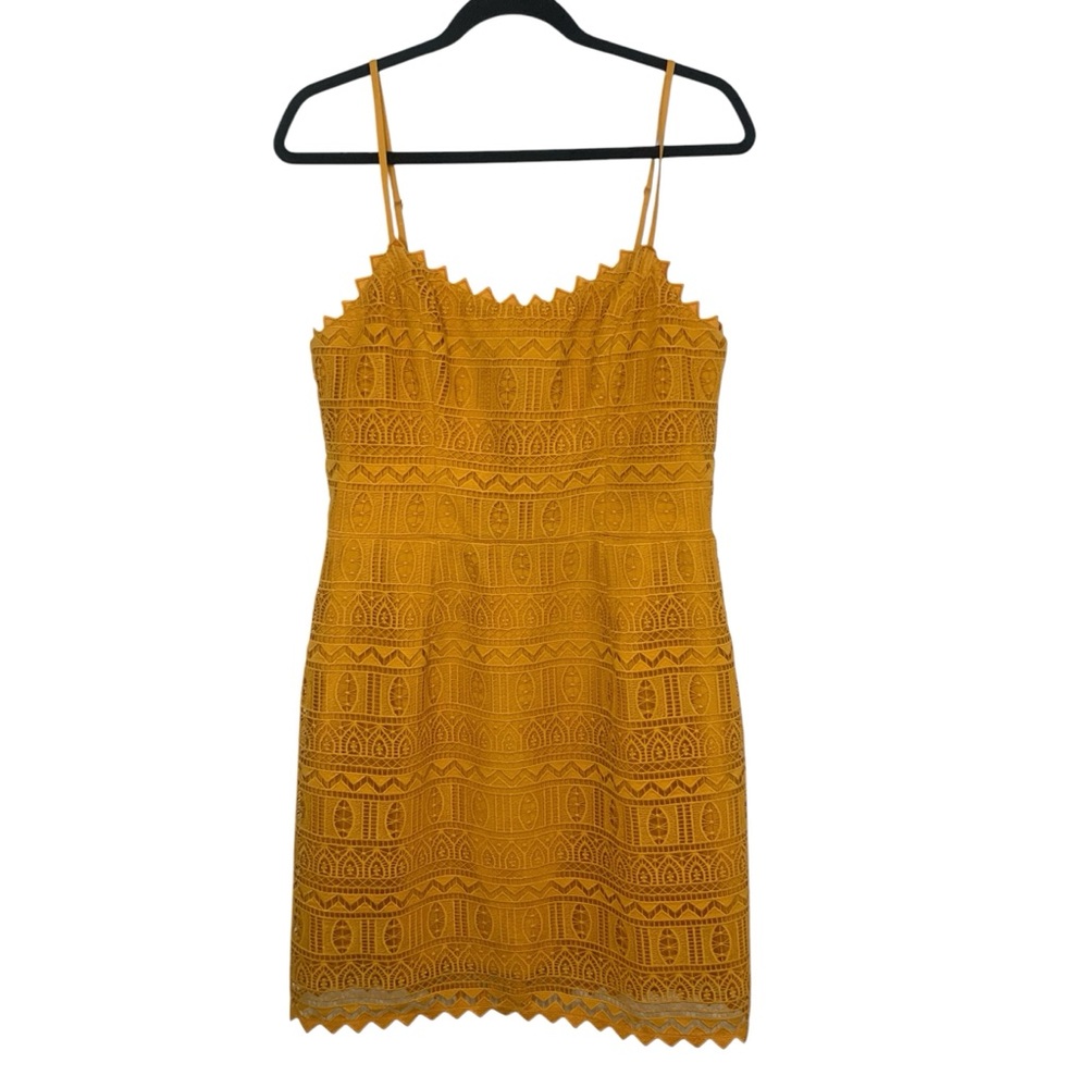 Dress the Population Large Gwen Lace Detail Mini Dress in Honey